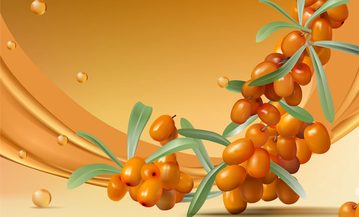 pozad___rakytnik_l-1